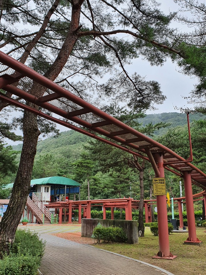 솔향공원 스카이바이크 시설 이미지