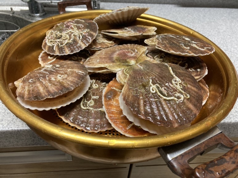 사천다이브리조트 이미지
