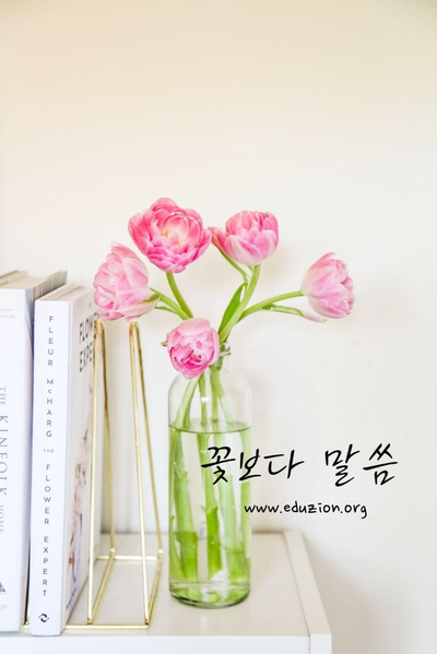 컴퓨터광장 이미지