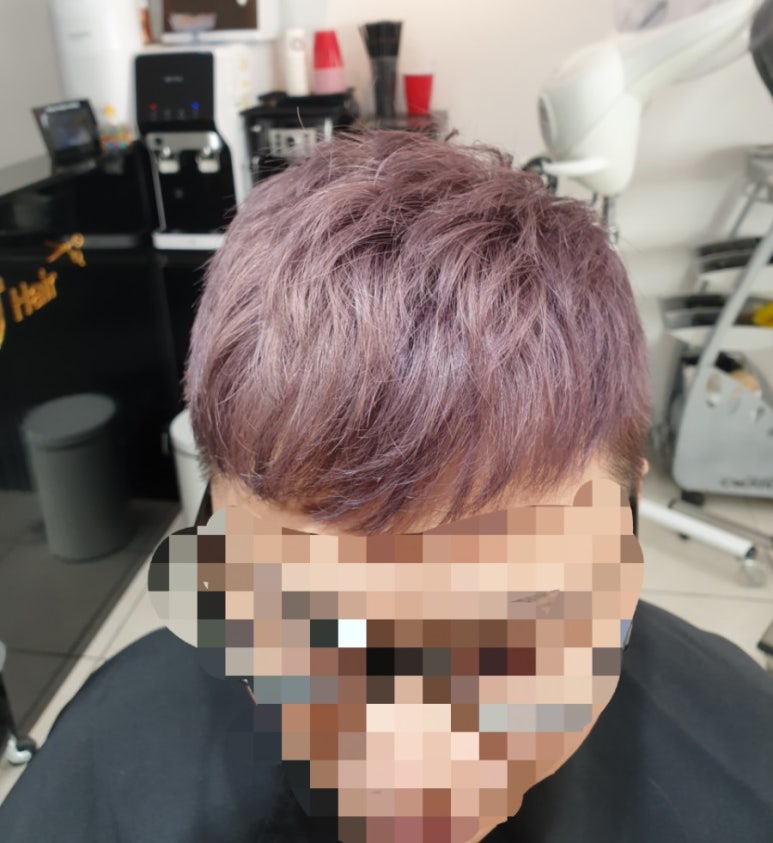 라벤더에쉬 이미지