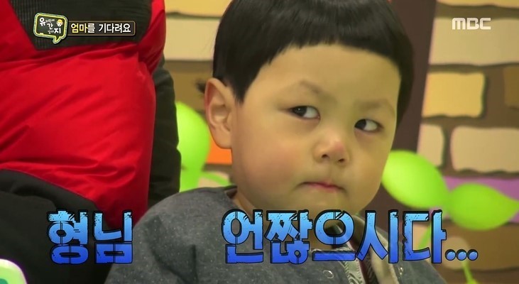 초빼이 이미지