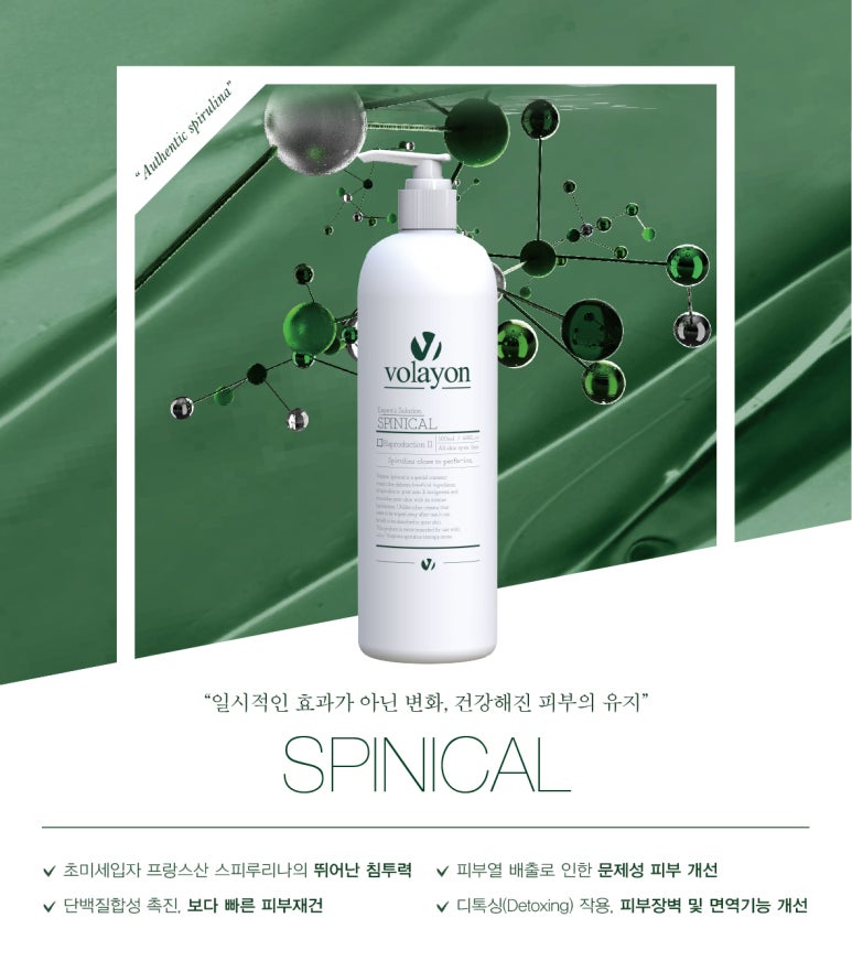 스피니 이미지