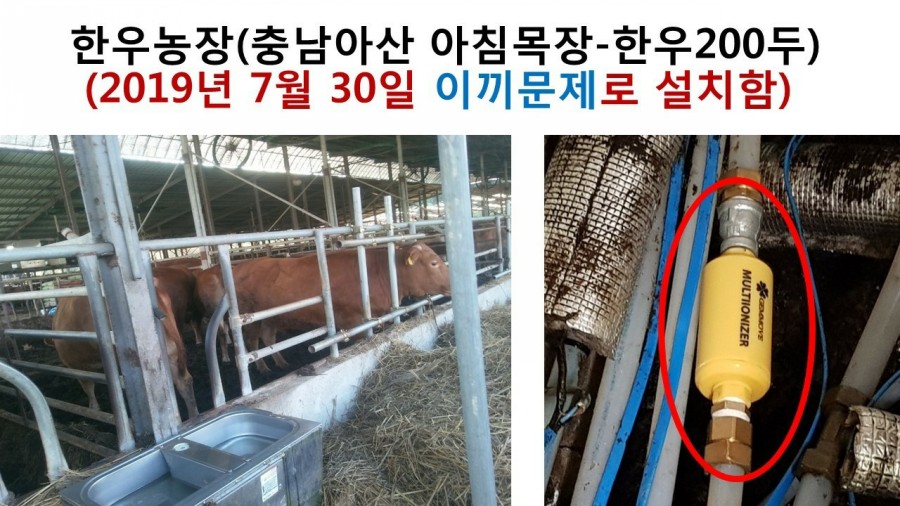 아침목장 이미지