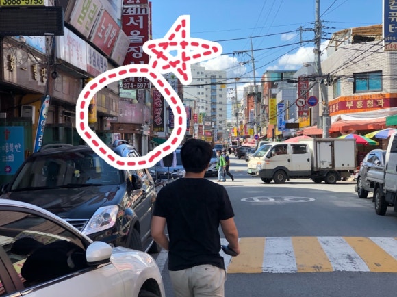 도씨네홍어 이미지