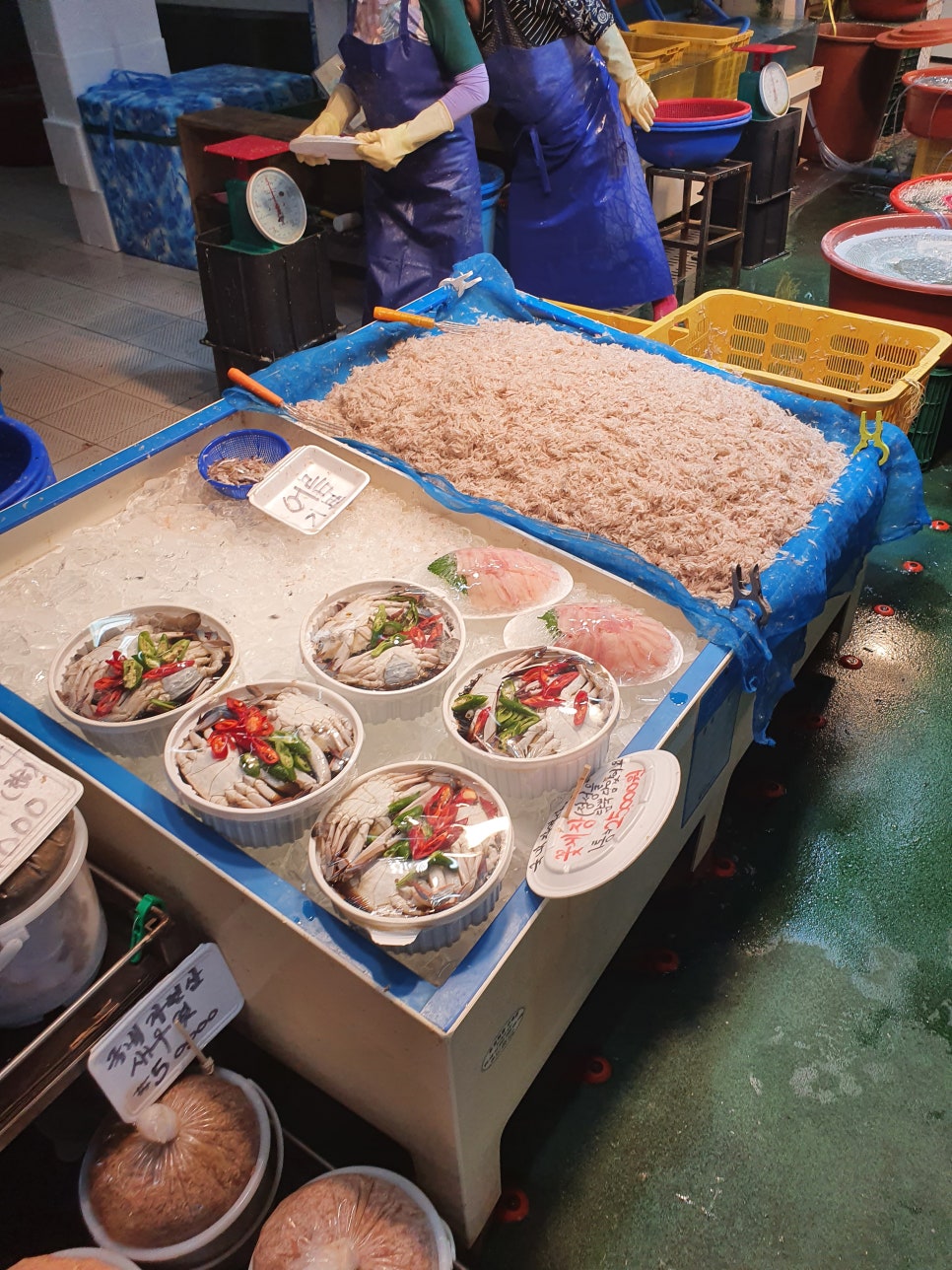 광천신광식품 이미지
