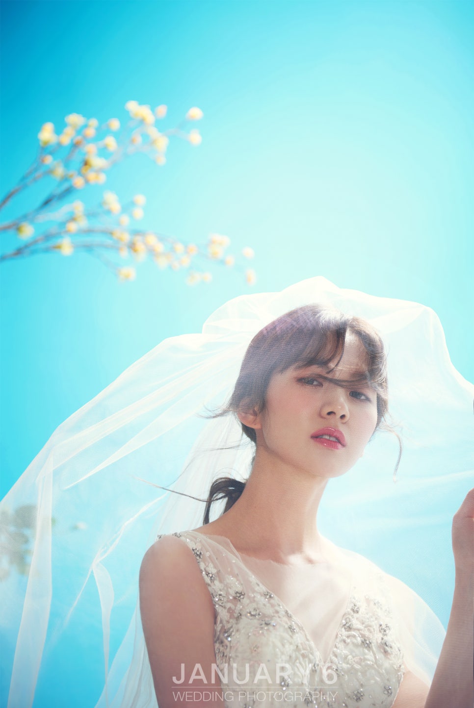 더 블룸 이미지
