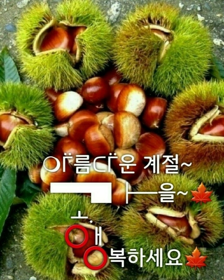 지리흙집황토마을 이미지