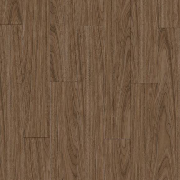 월넛 walnut 이미지