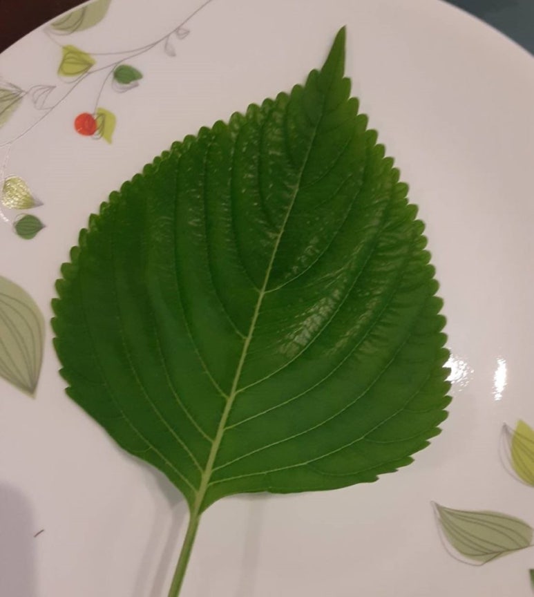 산호기획 이미지