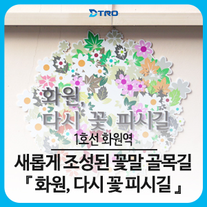 영상화원 이미지