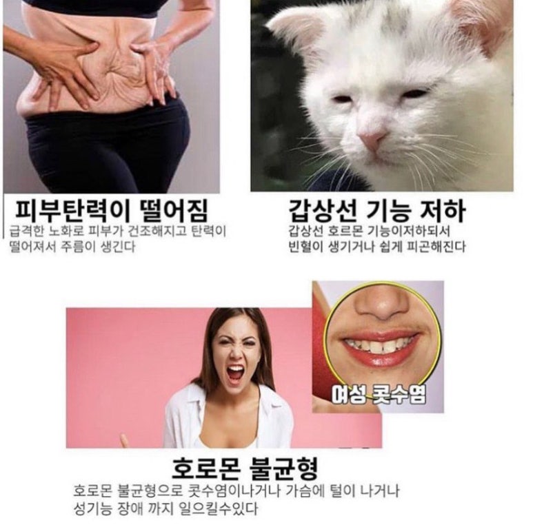 핫점핑다이어트 이미지
