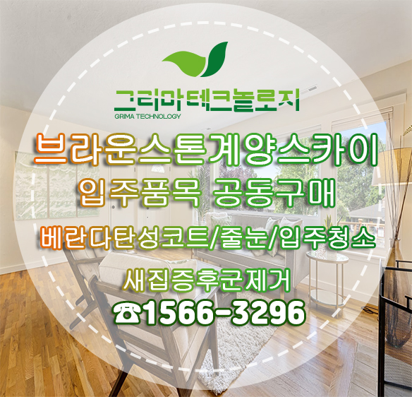 스카이핌 이미지