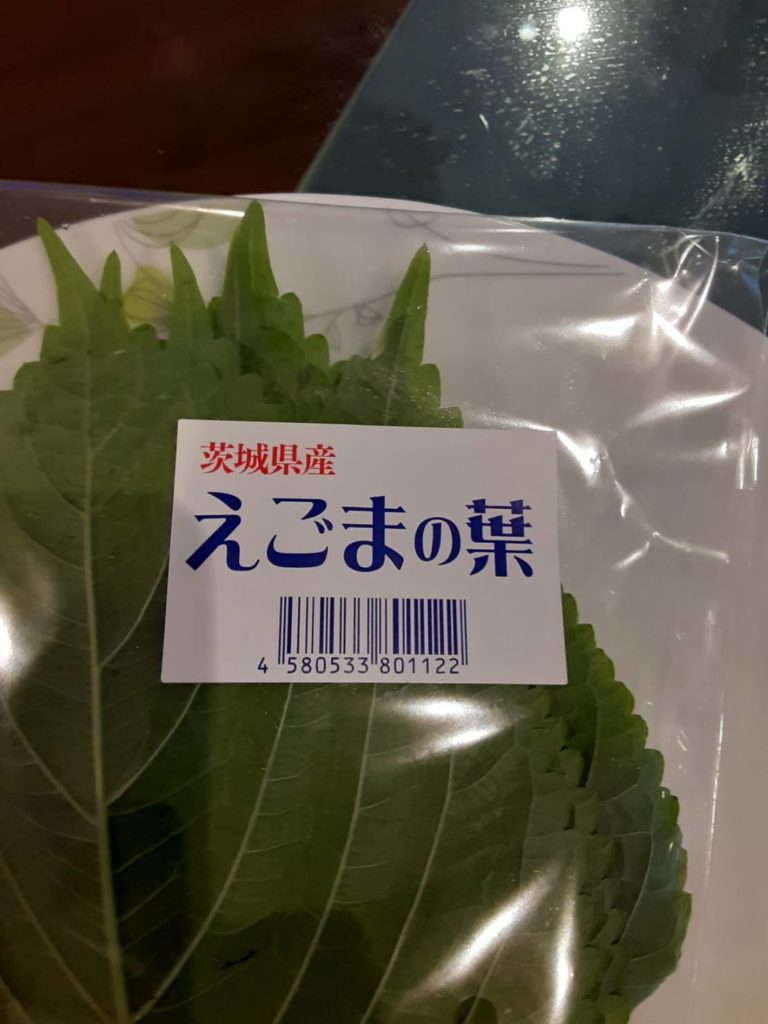 산호기획 이미지