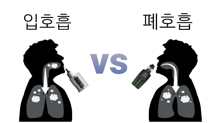 베이프존 이미지