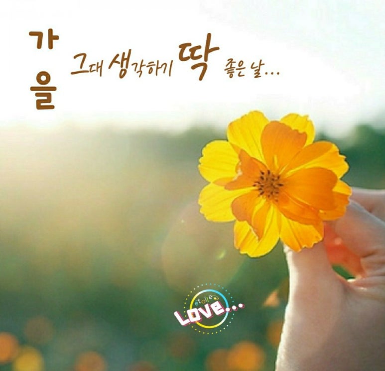 하루COFFEE 이미지