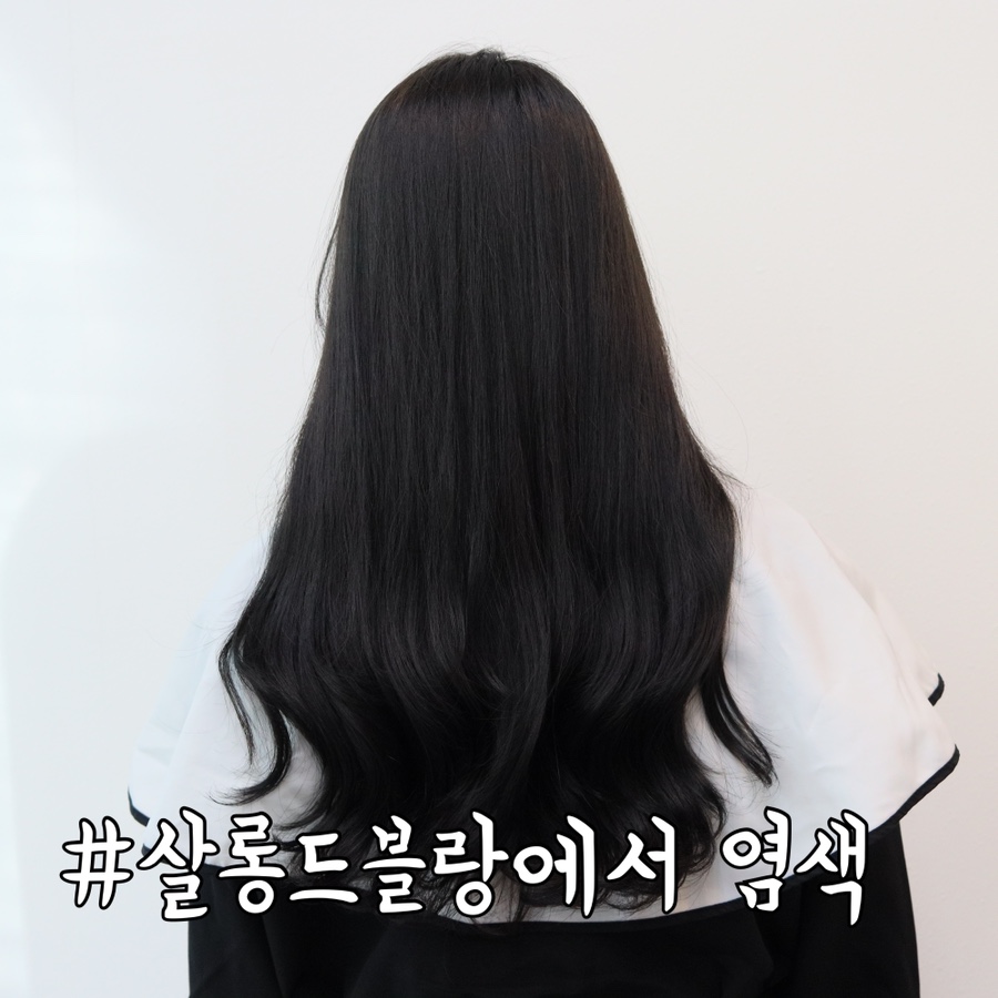 살롱드블랑 이미지