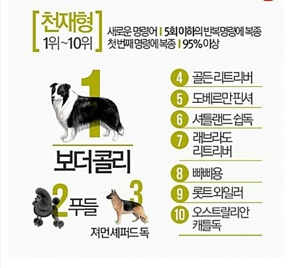 불불이족발 이미지