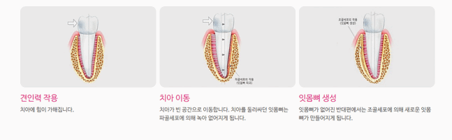 이랑치과의원 이미지