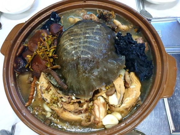 강남스타일약초백숙 이미지