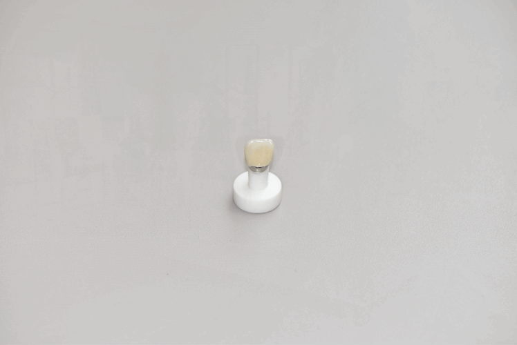 나치과의원 이미지
