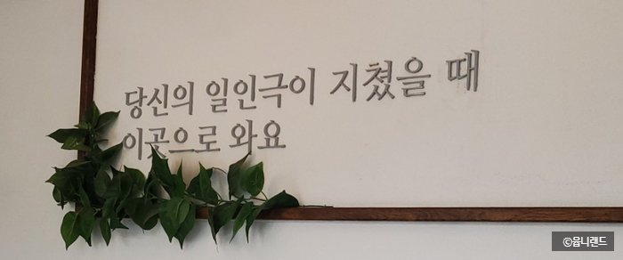 카페지밥 이미지