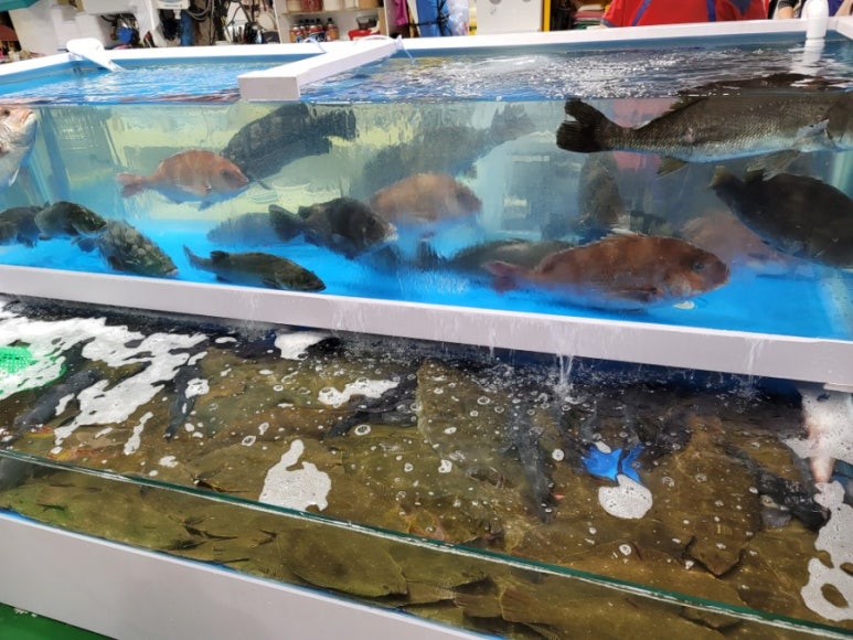 강경젓갈직판장 이미지