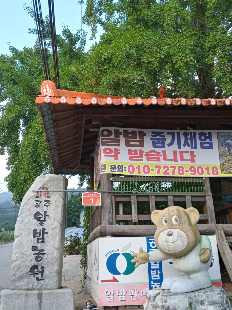 공주알밤농원 이미지