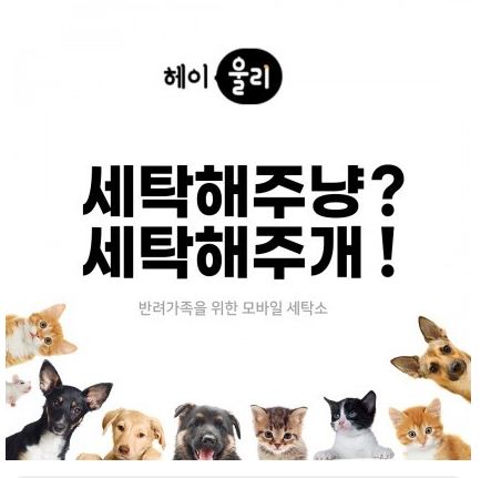 편한세탁소 이미지
