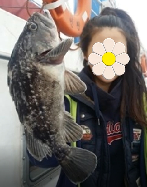 광명대창집 홍대점 이미지