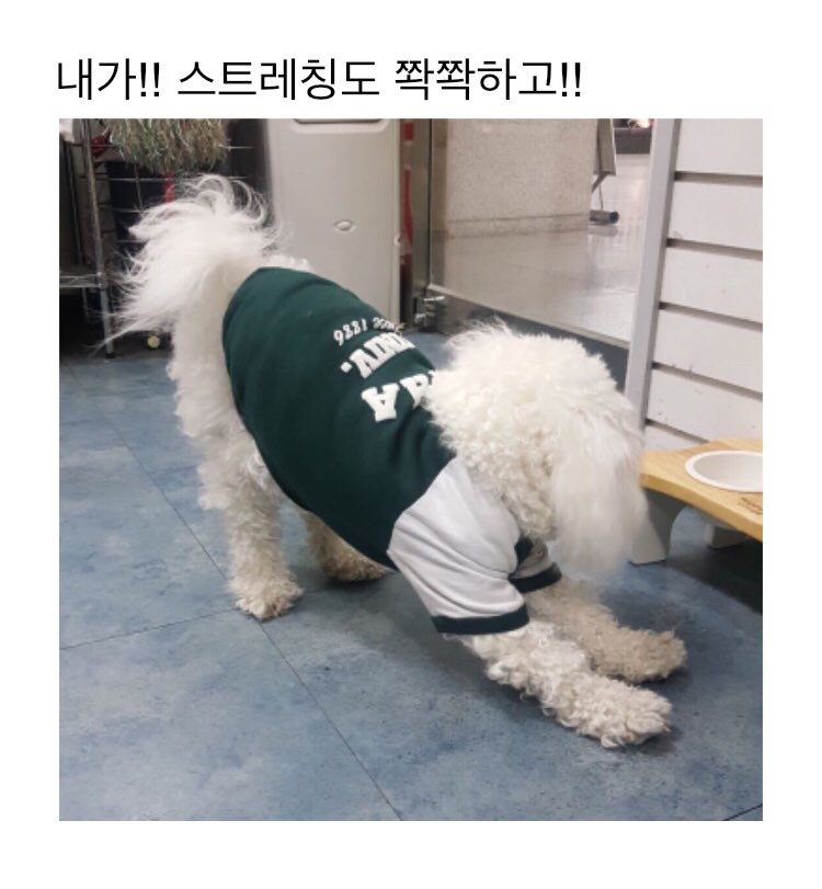 정직한교육 이미지
