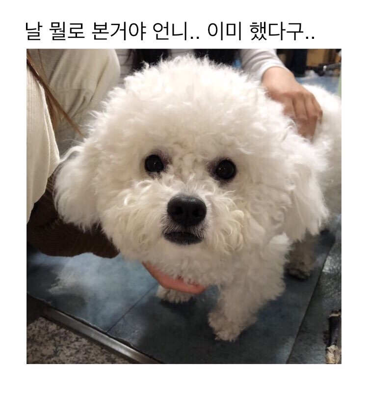 정직한교육 이미지