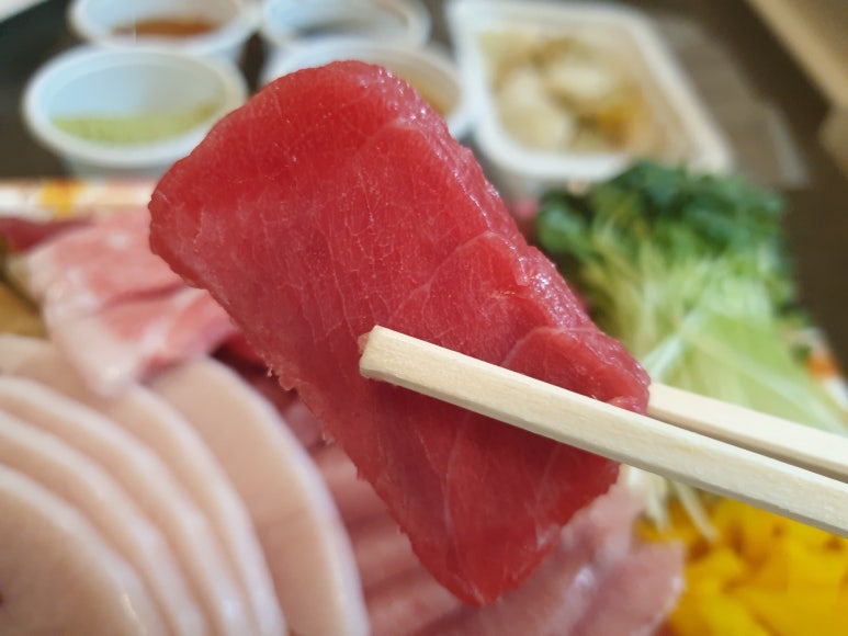 참치나라 이미지