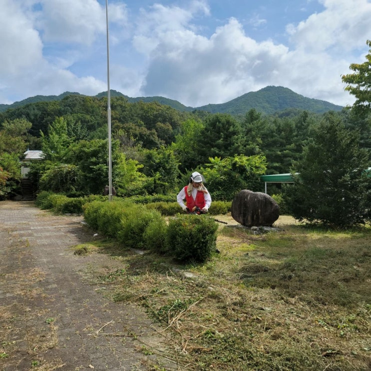 담연채 이미지
