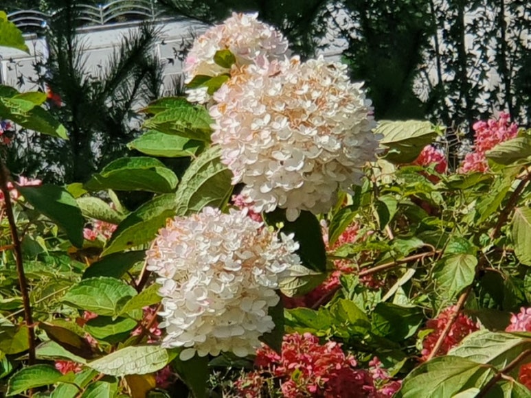 호반스튜디오 이미지