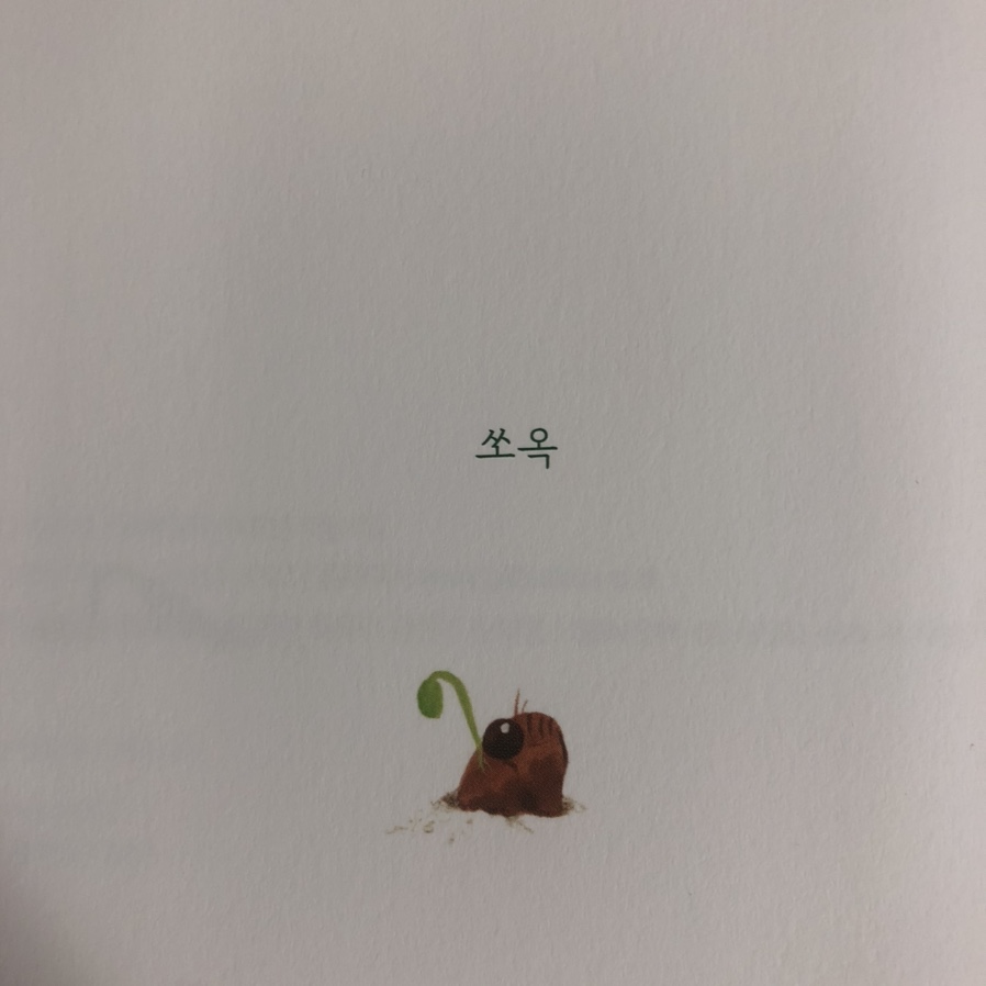 책피어나다 이미지