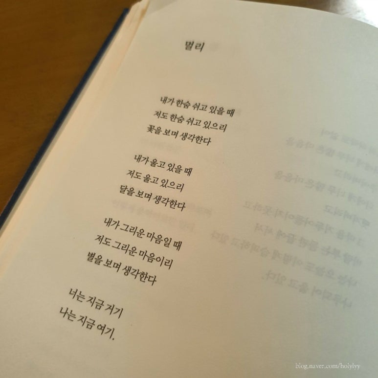 현대꽃 이미지