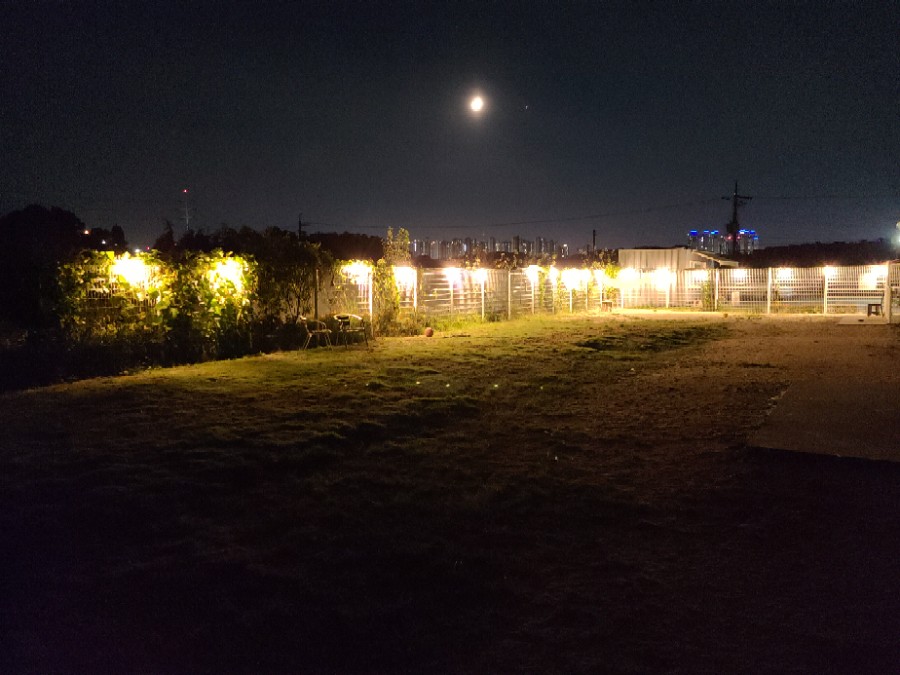 왕24시 이미지