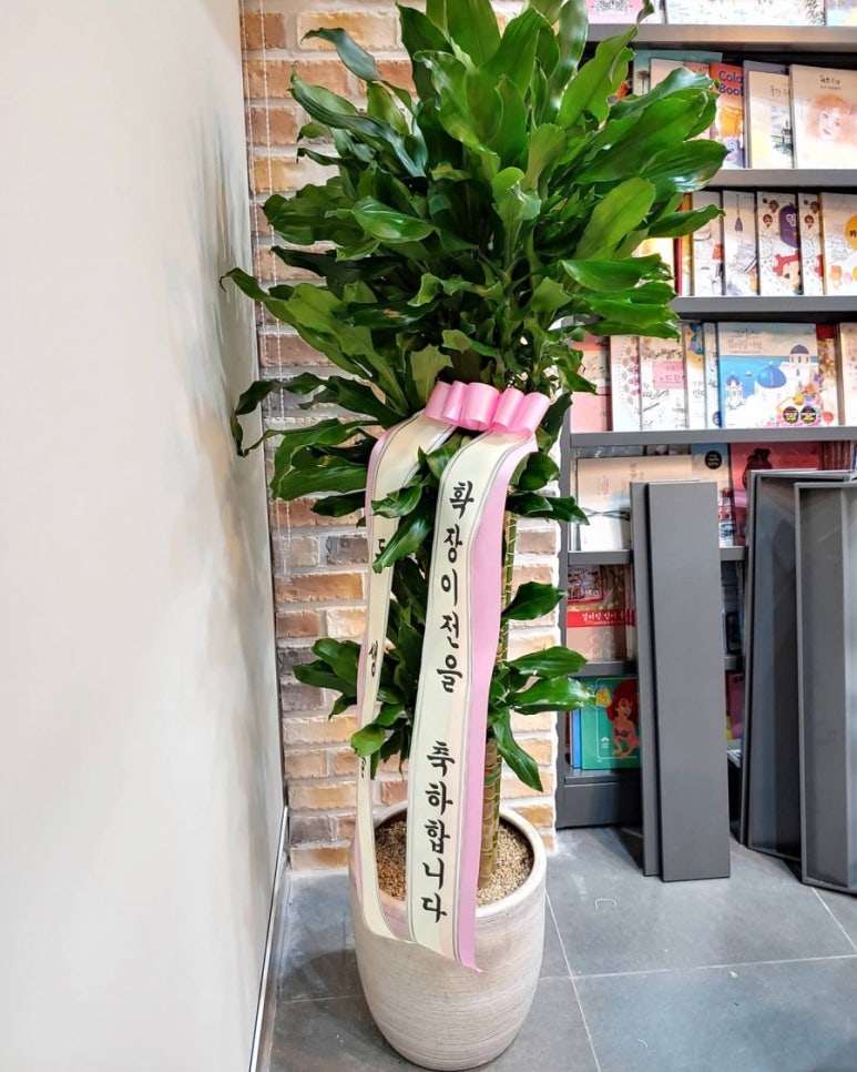 옥문당문고 이미지
