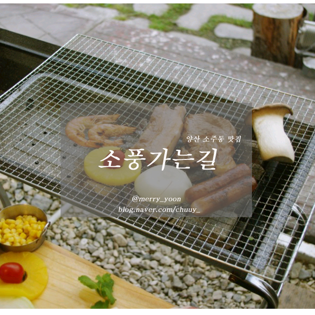 (주)백동소풍가는길 이미지