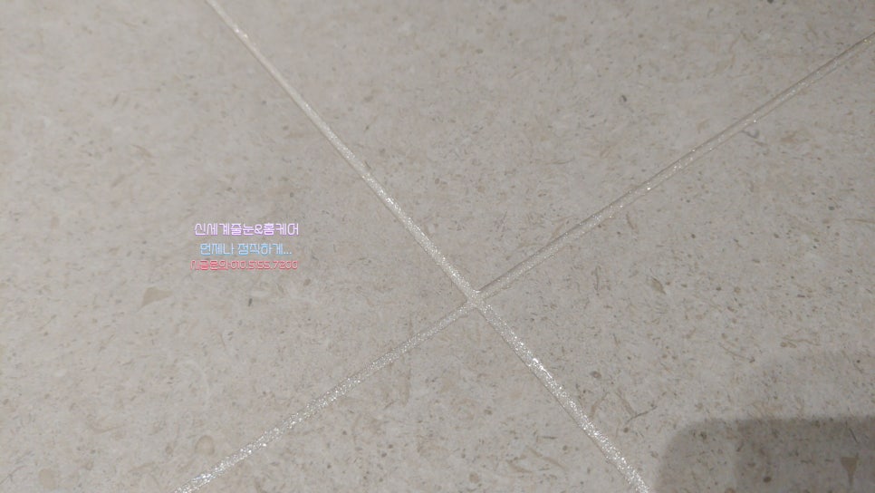 비안코 포레스트 이미지