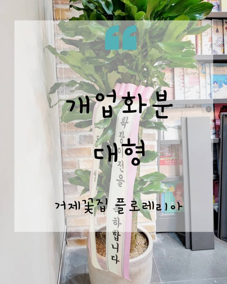 옥문당문고 이미지