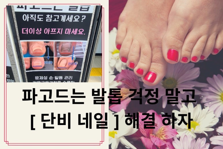 단비네일 이미지