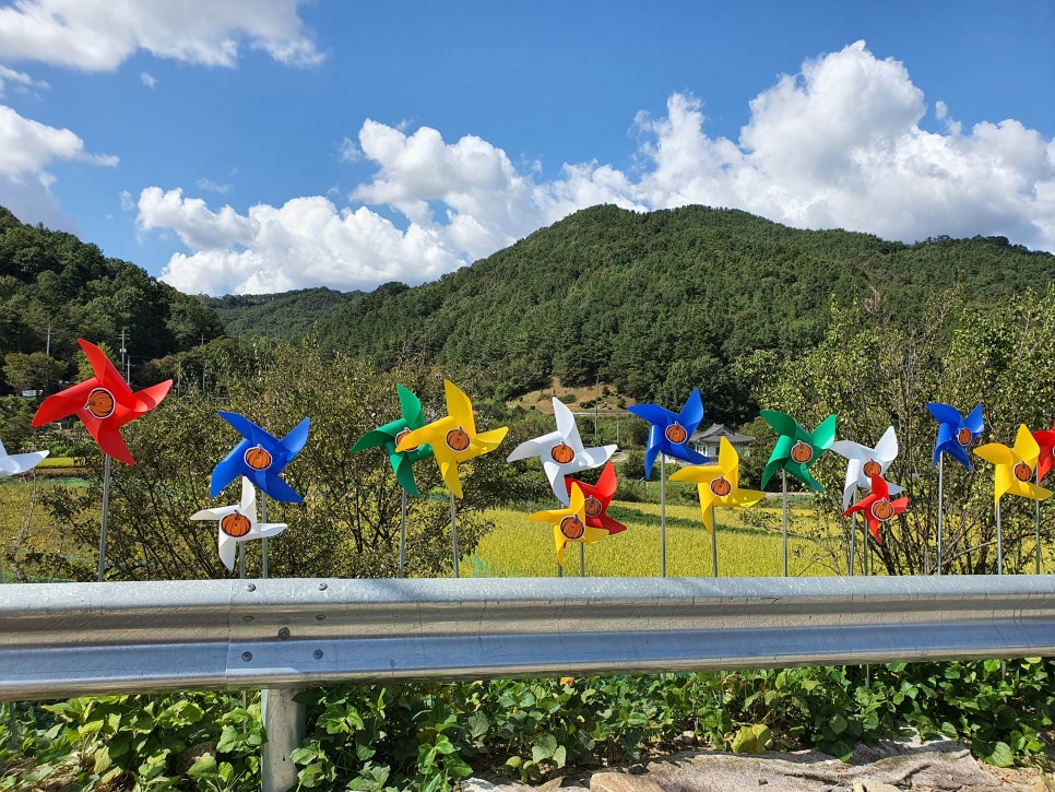 (주)여행마을 이미지