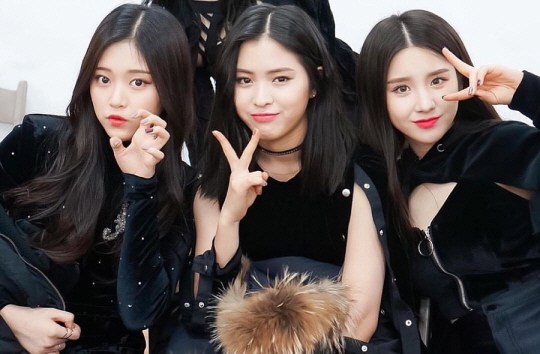 미반 이미지