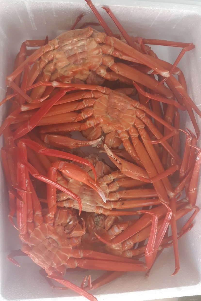 수산명가한창점 이미지
