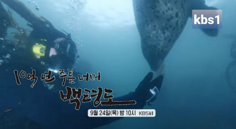 글꼴연구소붓소리 이미지
