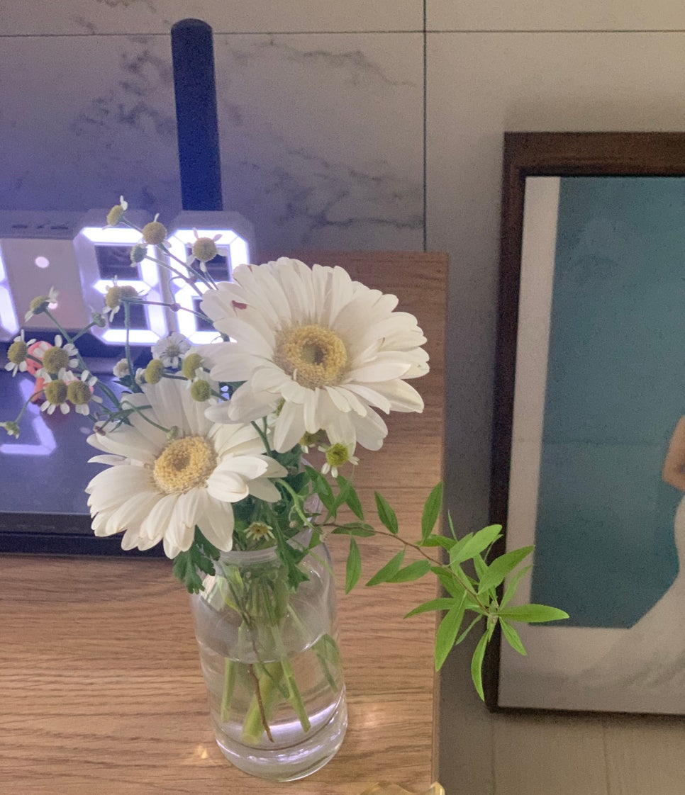 (주)파인가든 이미지