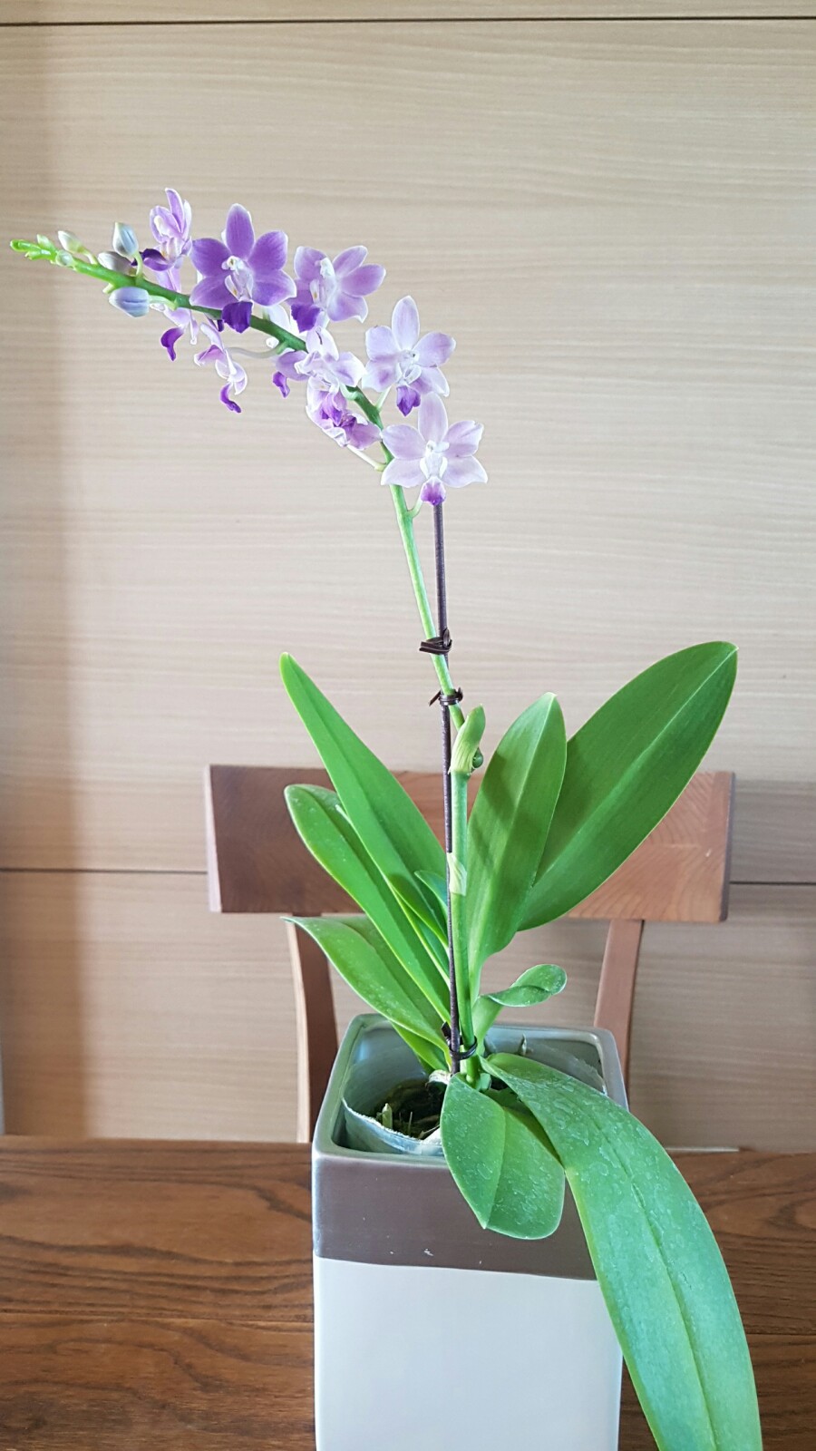 부칸산837 이미지