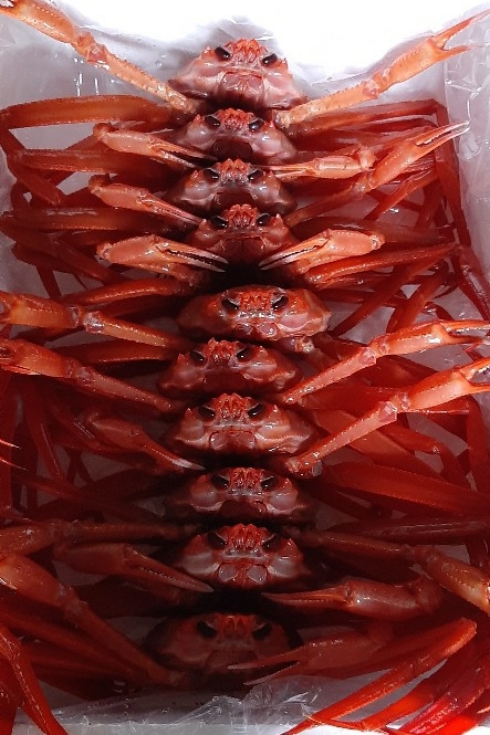 수산명가한창점 이미지