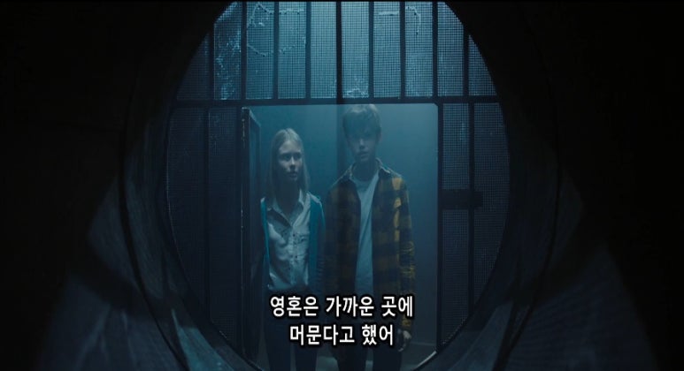 바바포레스트 이미지